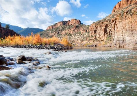 The 5 Best Salt River Tours & Tickets 2020 - Arizona | Viator