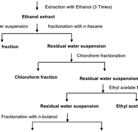 Preparation of the plant extract. | Download Scientific Diagram