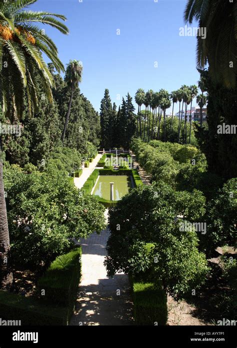 Real Alcazar Seville Gardens Stock Photo - Alamy