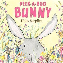 Peek-a-Boo Bunny by Holly Surplice | 9780062242655 | Hardcover | Barnes ...