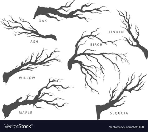 Set dried branches trees Royalty Free Vector Image