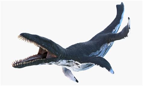 Liopleurodon Pictures - AZ Animals