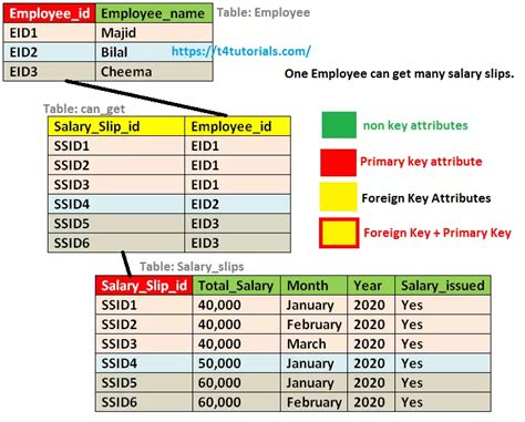 One to Many relationship examples in Database – T4Tutorials.com