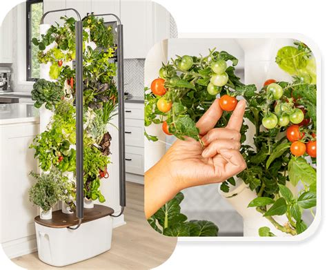 The Complete Guide to Indoor Vertical Gardens [Updated 2023]