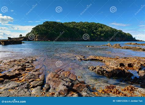 Goat Island Marine Reserve, Popular for Beach Activities in New Zealand Stock Photo - Image of ...