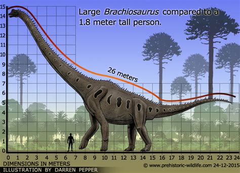 Dinosaurios y Vida Prehistórica: BRACHIOSAURUS.