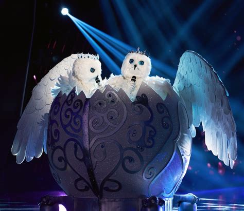 These 'Masked Singer' Snow Owls Theories Point To Some Famous Duos