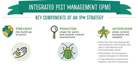 What Is Integrated Pest Management (IPM)? - Bay Area Facility Services