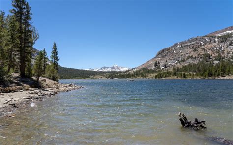 Tioga Lake - 395 Guide