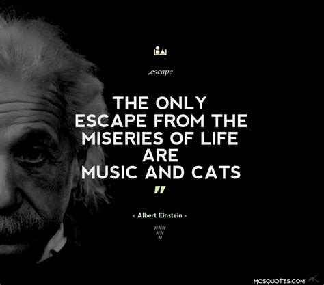 √ Albert Einstein Quotes Funny