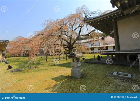 Daigo-ji Temple in Kyoto, Japan Editorial Photo - Image of building ...