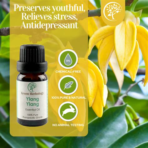 Ylang Ylang Essential Oil - Green Herbology