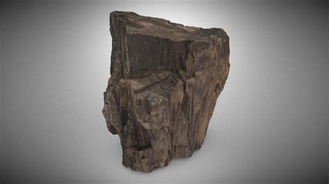 Petrified wood - Download Free 3D model by Virtual Museums of Małopolska ...