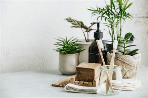 8 Best Feng Shui Plants for the Bathroom - Petal Republic