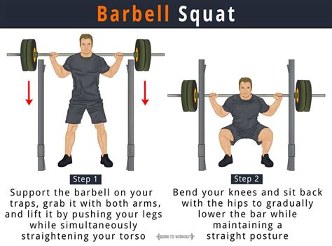 Barbell Squat: How to do, Proper Form, Variations, Benefits