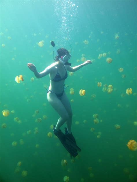 Snorkelling in Jellyfish Lake, Palau. : r/pics