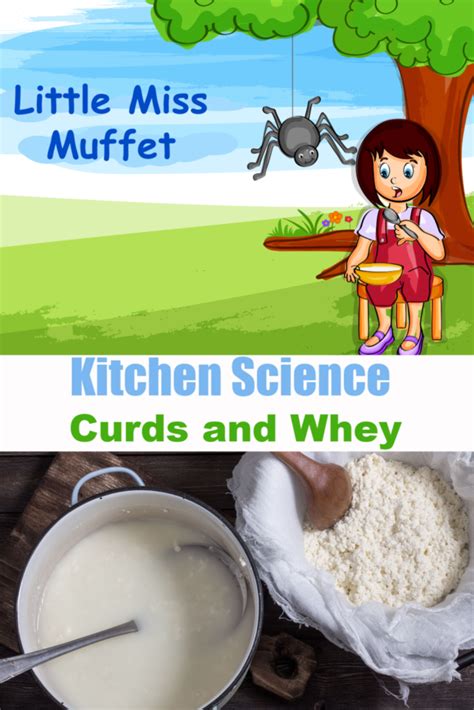 Curds and Whey - Little Miss Muffet Activity