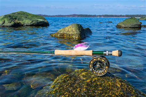 Saltwater Fly Fishing: Picking The Best Reel and Cast