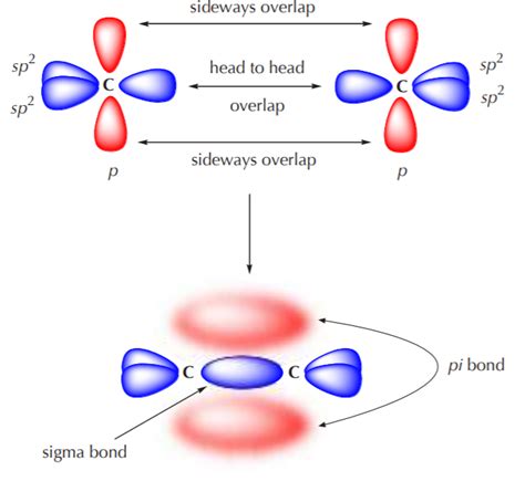 5.4: Hybridization of Carbon - Chemistry LibreTexts