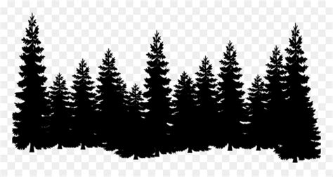 Eastern white pine Tree Clip art Cedar - norway cover png forest png download - 834*480 - Free ...