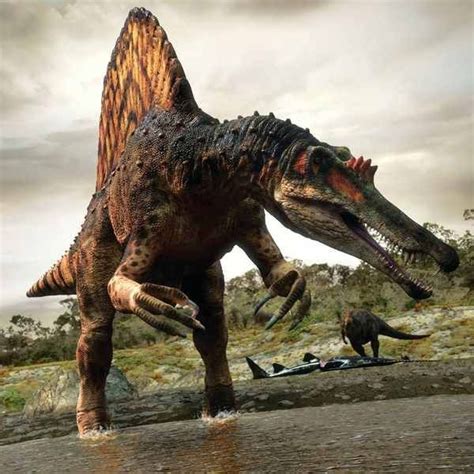 Spinosaurus | Spinosaurus, Prehistoric animals, Prehistoric