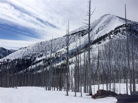 Could Turning Teton Pass Ski Resort, MT Into A Non-Profit Or Cooperative Save It? - SnowBrains