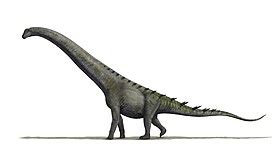 Bruhathkayosaurus - Wikipedia