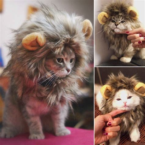 Furry Pet Costume Lion Mane Wig For Cat Halloween Fancy Dress Up With ...