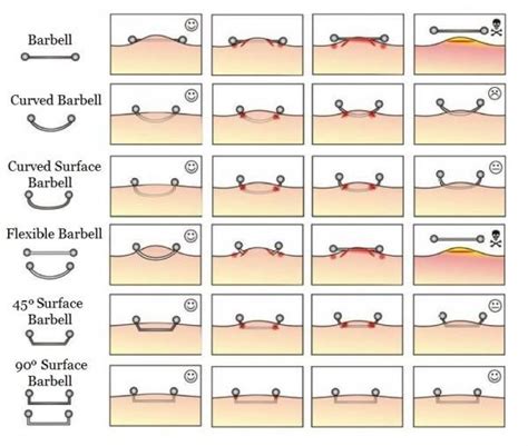 Gallery For > Body Piercing Types Diagram | Hip piercings, Neck ...