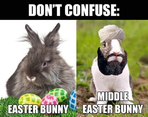 Funny Easter Memes 2024 | Happy Easter Funny Images, Meme, Photos ...