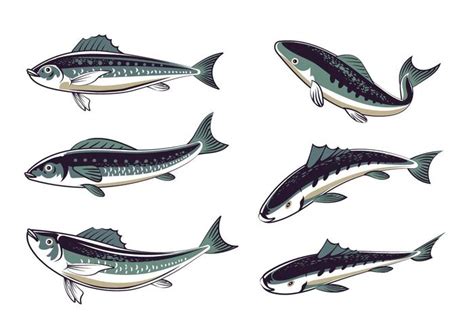 Set Fresh Sardines Hand Drawn Style 142987 Vector Art at Vecteezy