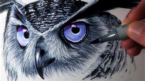 Drawing an Owl with Copic Markers - Time Lapse - YouTube