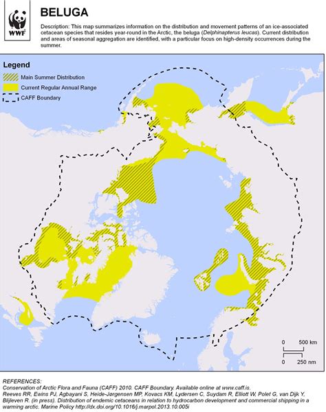 Beluga Whale: Species Facts, Info & More | WWF.CA