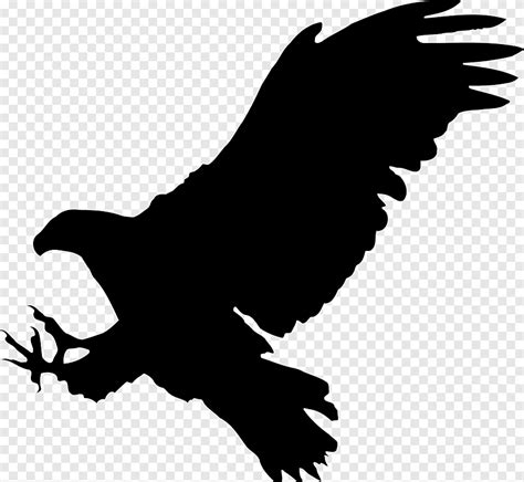 Free download | Bald Eagle Bird Silhouette, Hawk, animals, monochrome png | PNGEgg