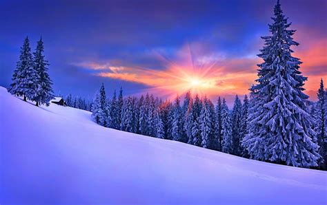 Beautiful Winter ***, forest, nature, snow, winter, HD wallpaper | Peakpx