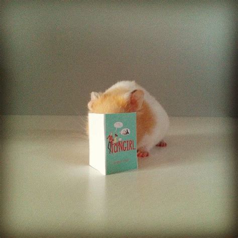 Adorable Animals Reading Books | Animal book, Cute small animals, Cute ...