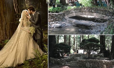 Sean Parker wedding: Revealed: The pictures of Sean Parker's magical wedding 'movie set' that ...