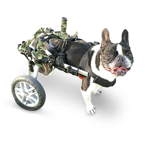 Walkin' Wheels Dog Wheelchair - for Small Dogs 11-25 Pounds - Veterinarian Approved - Dog ...