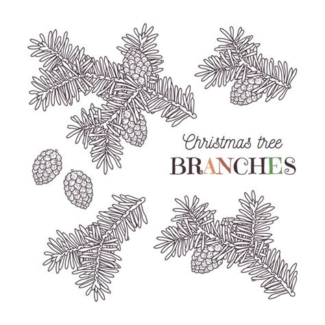 Premium Vector | Christmas tree branches vector.