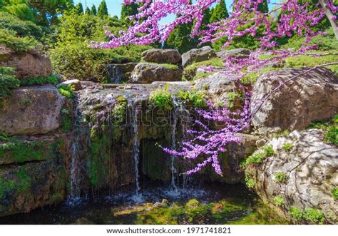 25 Olbrich Botanical Gardens Images, Stock Photos & Vectors | Shutterstock