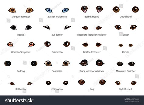 Vector Set Cartoon Dog Eyes Isolated Stock Vector (Royalty Free ...