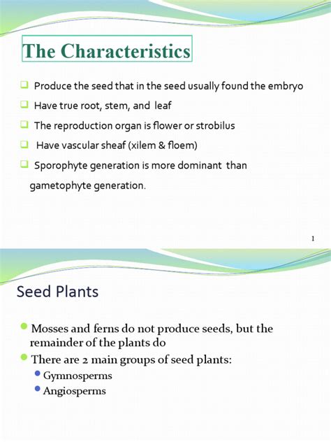 Division Spermatophyta 2012 | PDF | Plant Reproduction | Horticulture