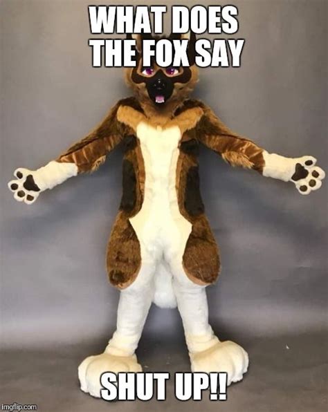 Meme of the music what does the fox say | The foxes, Memes, Me too meme