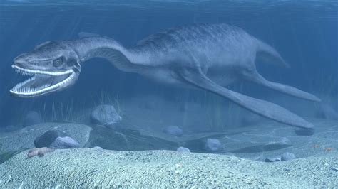 Plesiosaurus | Dinosaurs - Pictures and Facts