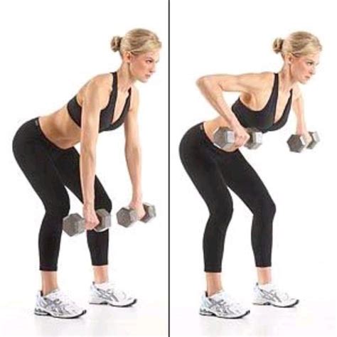 Bent Over Wide Dumbbell Rows by E M - Exercise How-to - Skimble