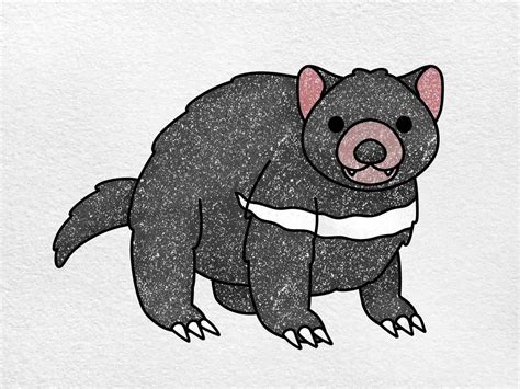 How to Draw a Tasmanian Devil - HelloArtsy