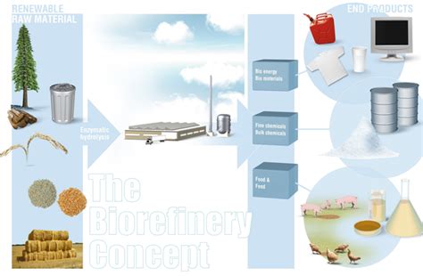 Biorefinery As A Source Of Advanced Biofuels