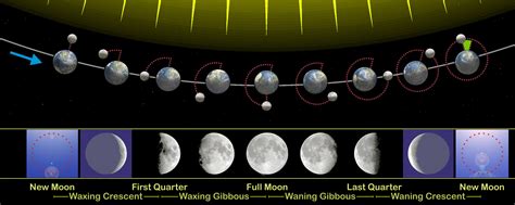 File:Moon phases en.jpg - Wikipedia