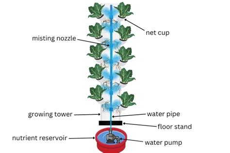 What Is An Aeroponic Tower and How Does it Work?