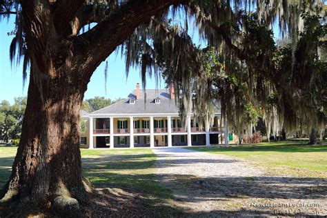 Antebellum Home, Louisiana Bayou, New Orleans Homes, Ripley, Tree Trunk, Mansions, House Styles ...